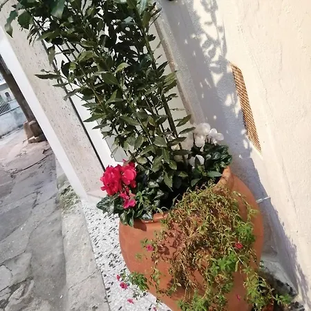 Relax Santa Cecilia Gravina in Puglia