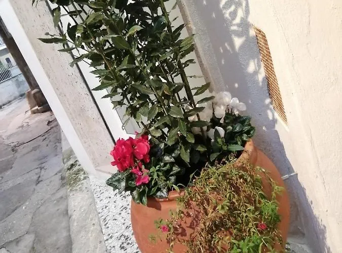 Relax Santa Cecilia Gravina in Puglia